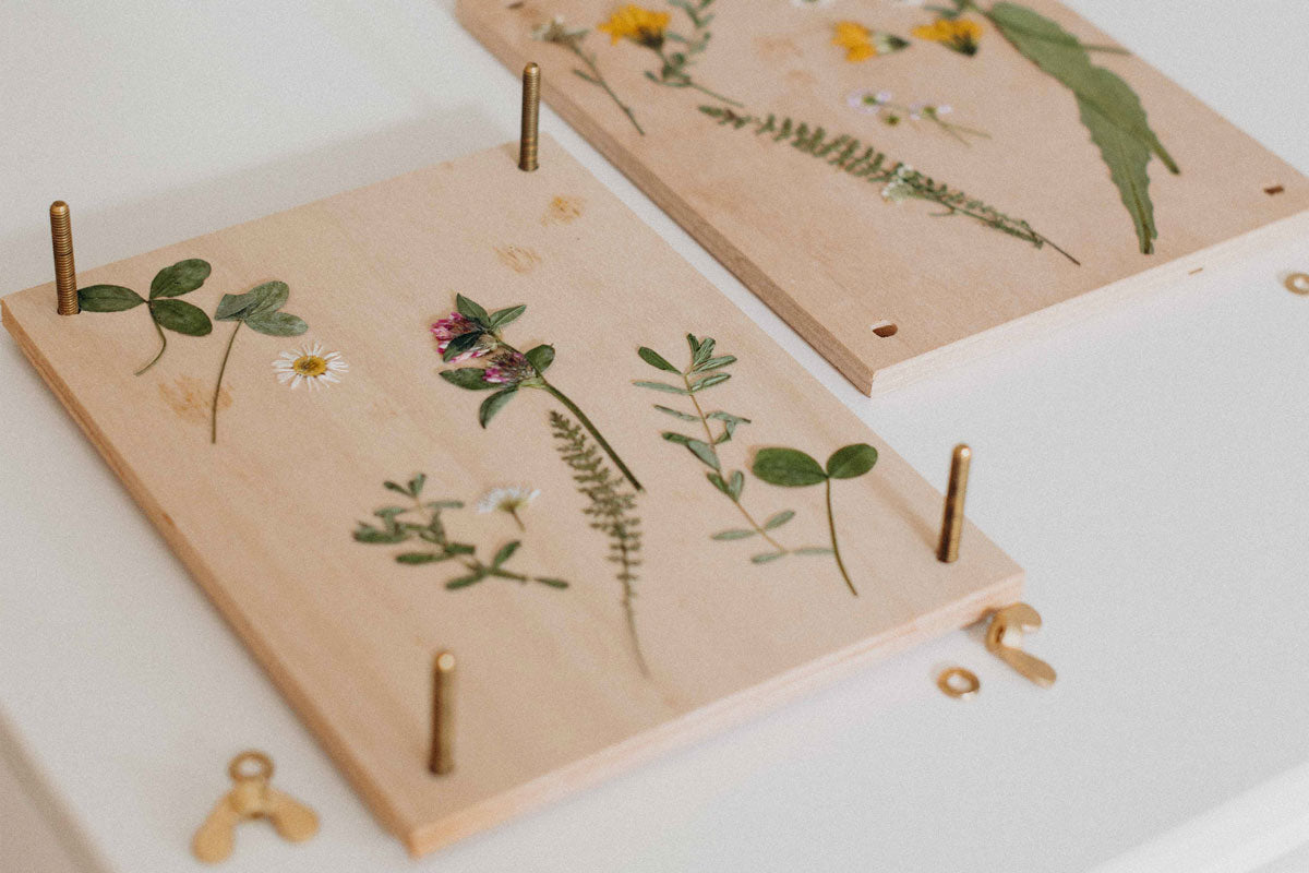 Blumen pressen DIY - den Sommer verewigen – Greentastic